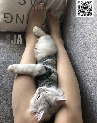 国产裸体歌舞团一区二区_高清高清免费观看