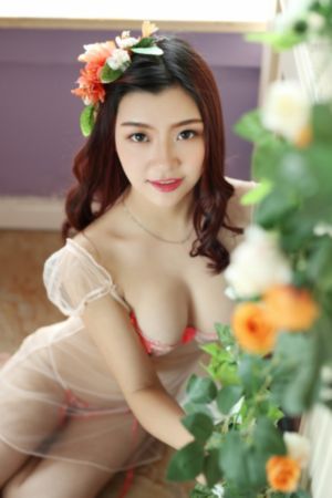 西夏死书_迅雷下载电影