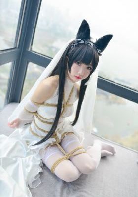 亚洲综合在线观看视频_HD在线观看电视