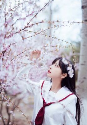 深夜成人网站在线观看_720免费观看韩国